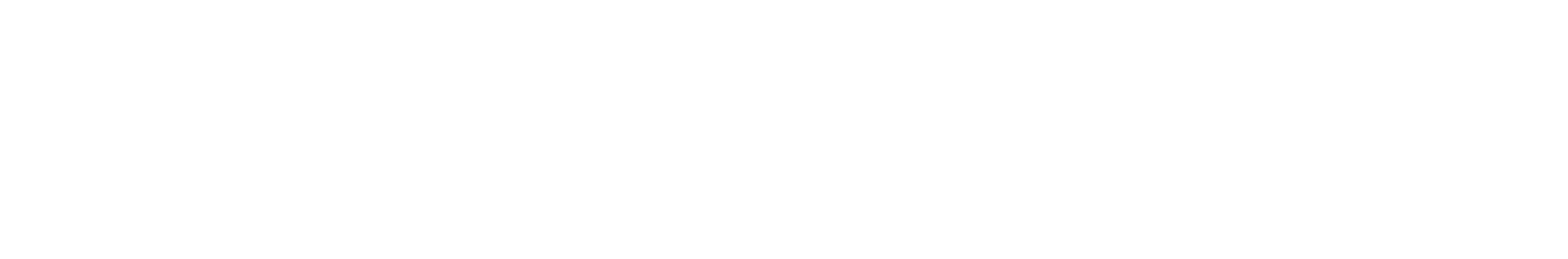 Atlanta Area Council, Scouting America