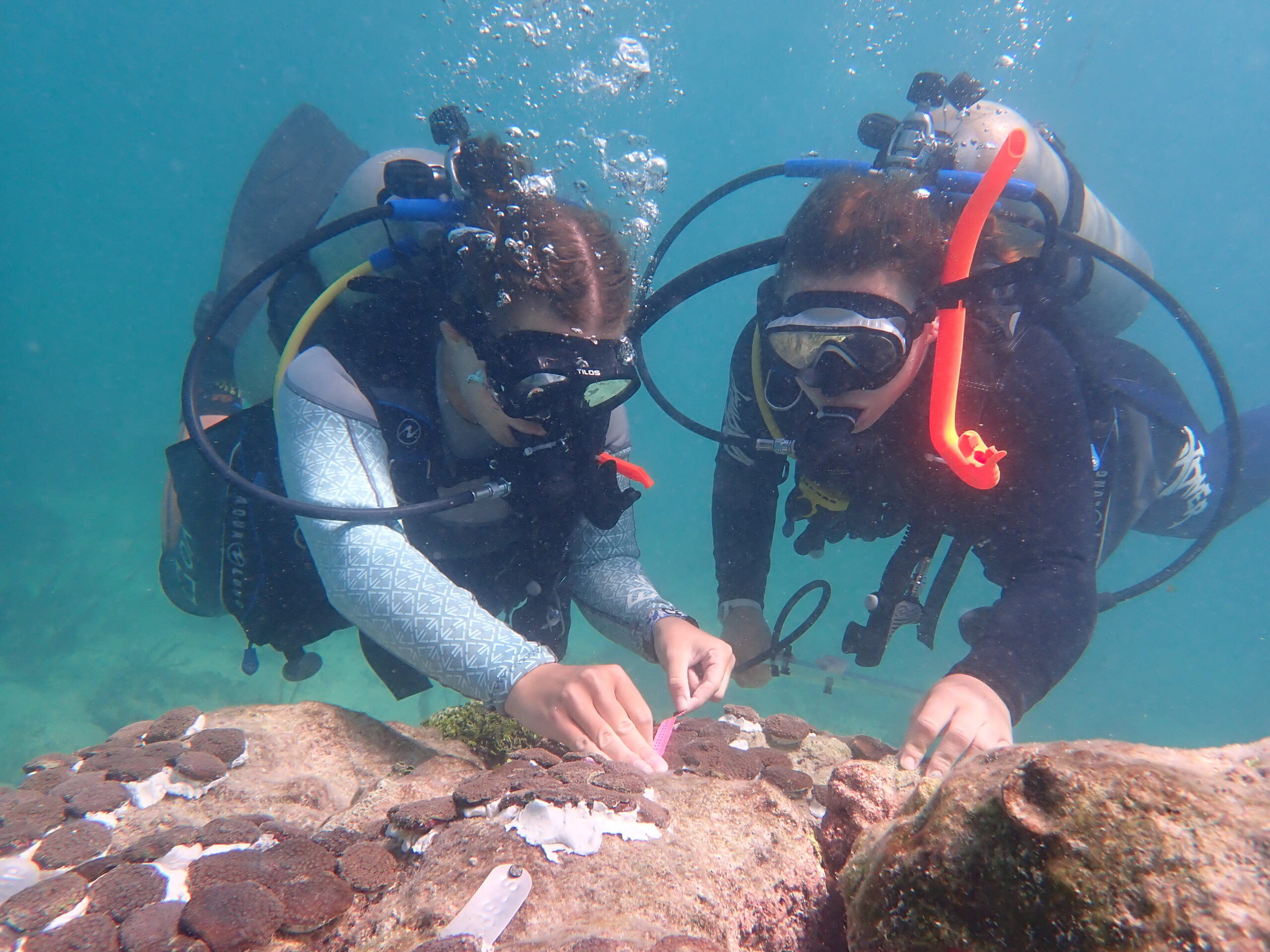 Sea Scouts Coral Reef Restoration at the Florida Sea Base