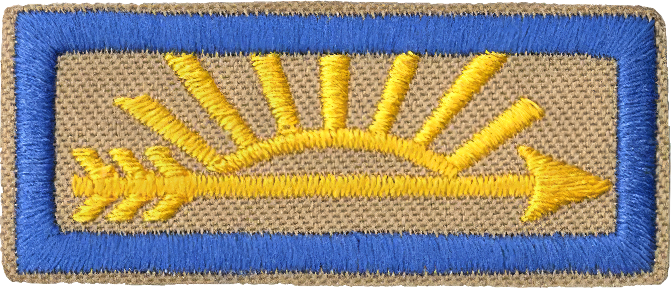 Cub Scouts AOL Badge