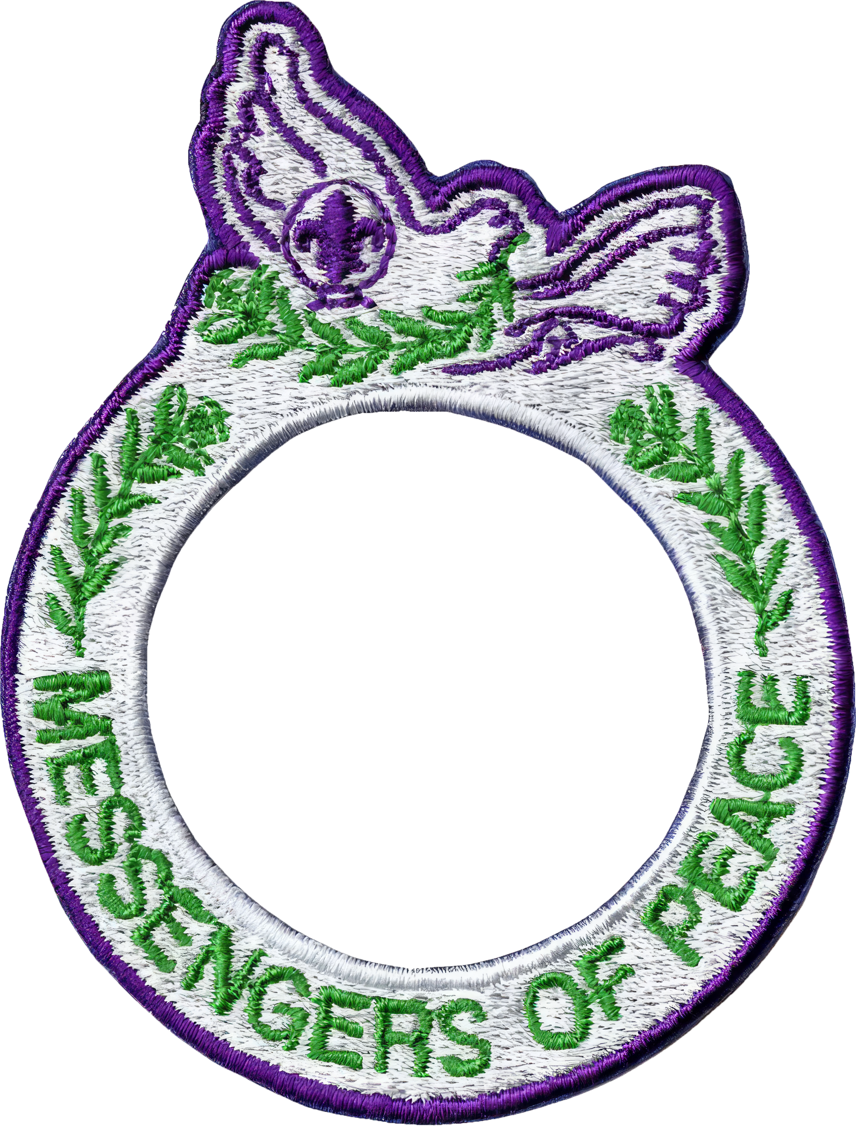 Scouting America Messenger Of Peace Ring Badge