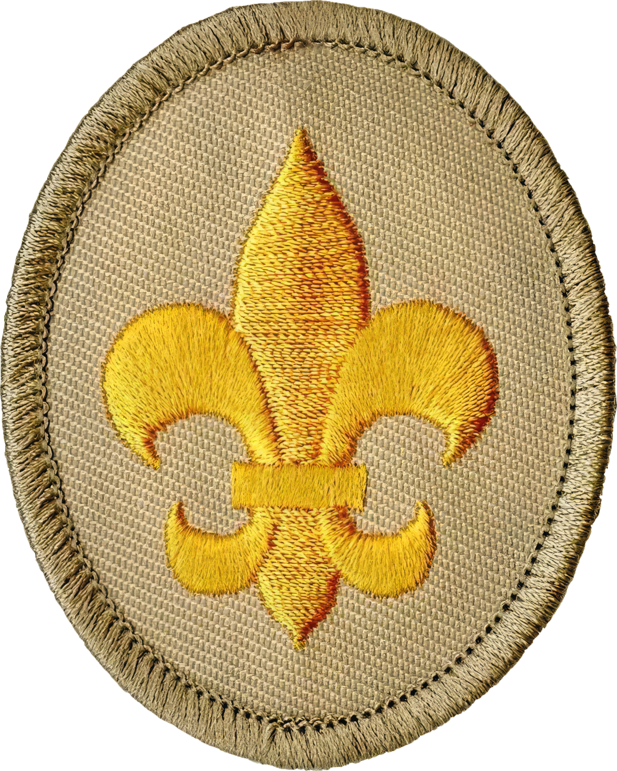 Scouts BSA Scout Badge