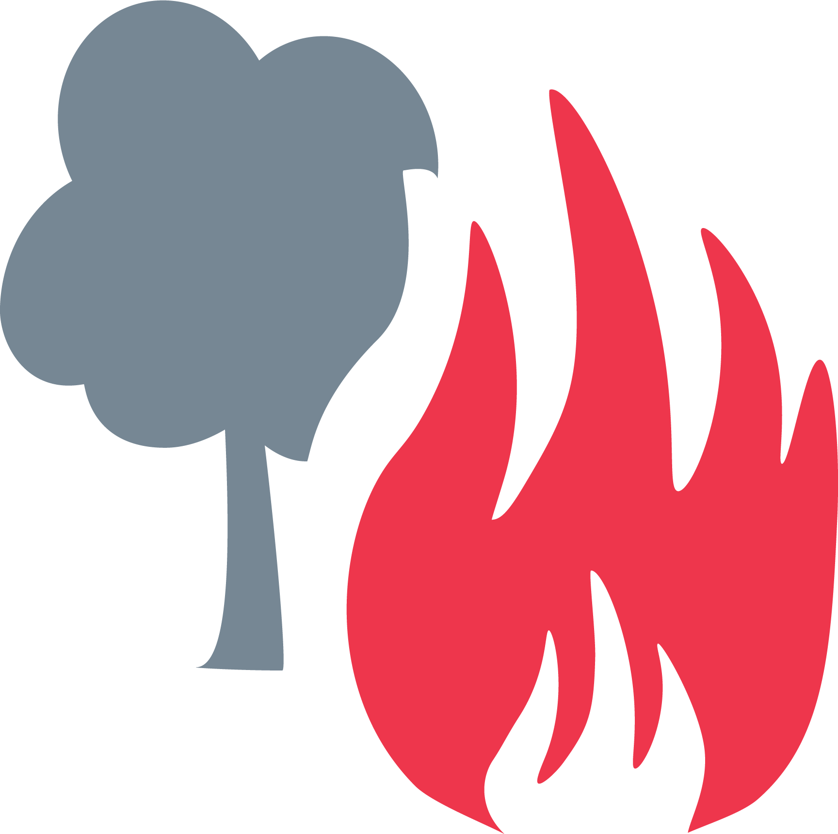 WILDFIRE