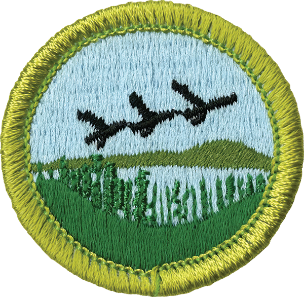 AAC Fish Wildlife Management MB