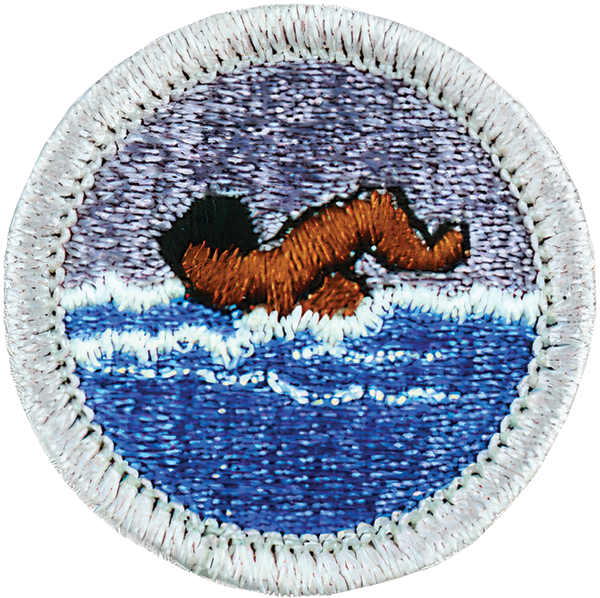 AAC Swimming MB