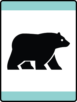 Cub Scouts Bear Required Adventure Loops