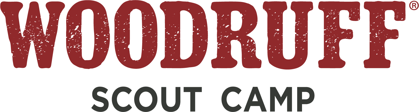 WSC Stacked Logotype 4C